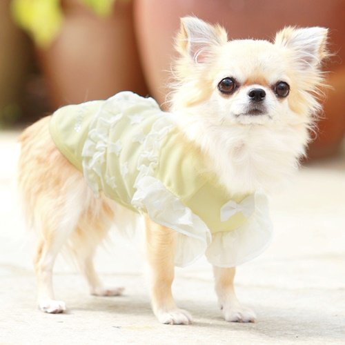 ゴッドピヴァ GODPIVA スターチュールフリルタンク【小型犬 犬服 ウエア トップス タンク セレブ】