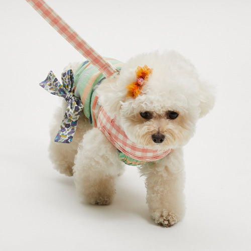 ルイスドッグ louisdog Candy Stripe Pants【小型犬 犬服 ウエア ロンパース カバーオール つなぎ パンツ セレブ】