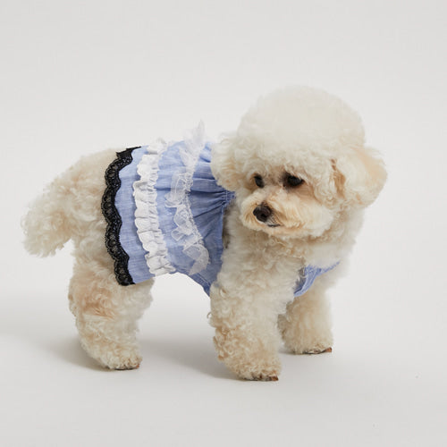 ルイスドッグ louisdog Breeze Organic Linen Dress【小型犬 犬服 ウエア ワンピース ドレス セレブ】
