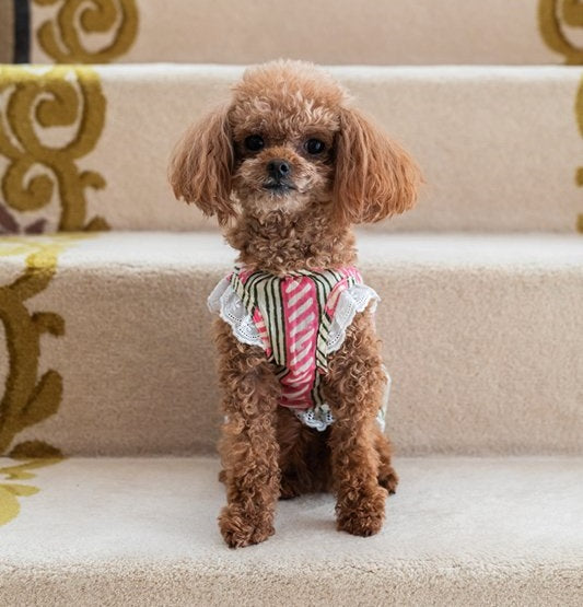 プエルト PUERTO サリーガーデンエプロン(PK)【小型犬 犬服 ウエア ワンピース ドレス セレブ】