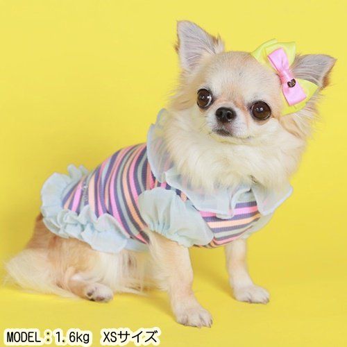 ゴッドピヴァ GODPIVA NEONボーダータンク【小型犬 犬服 ウエア トップス タンク セレブ】