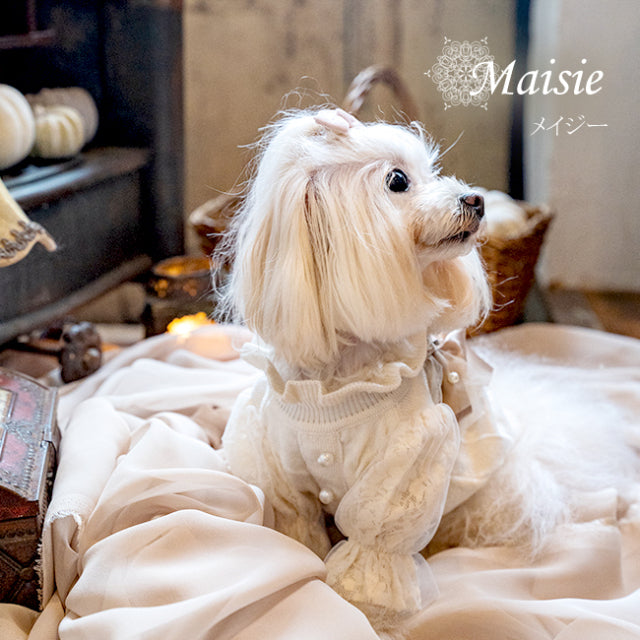 ★予約商品10月中旬入荷★グラマーイズム Glamourism メイジー Maisie【小型犬 犬服 ウエア トップス セーター セレブ】
