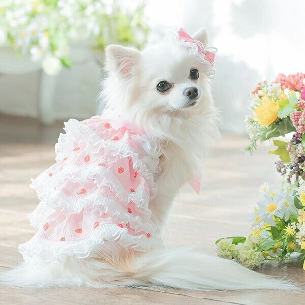 きゃんナナ CanNana あまいイチゴのふりふりキャミ 1138【小型犬 犬服 ウエア ワンピース ドレス セレブ】 送料無料