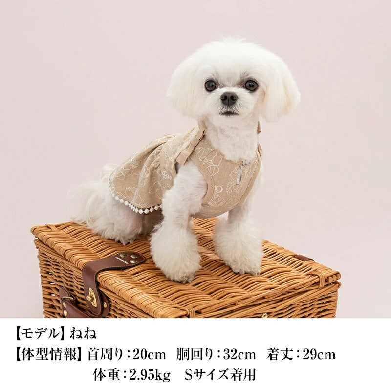 クレイジーブー CRAZYBOO 刺繍リボンワンピ【犬服 小型犬 ウエア セレブ ワンピース】 送料無料