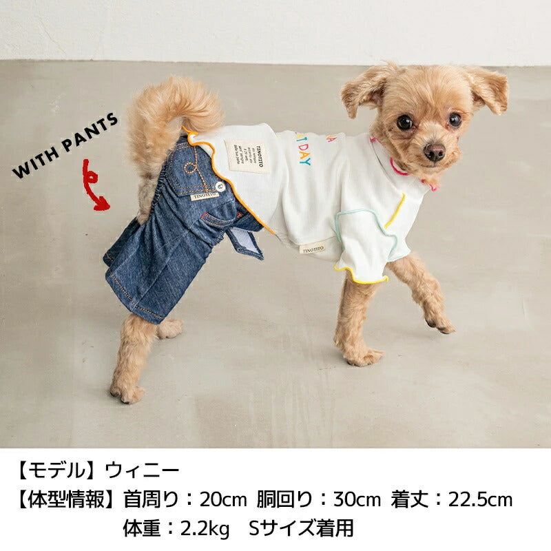 ティノティート TINOTITO カラフルメローTシャツ【小型犬 犬服 ウエア トップス タンク カジュアル】 送料無料