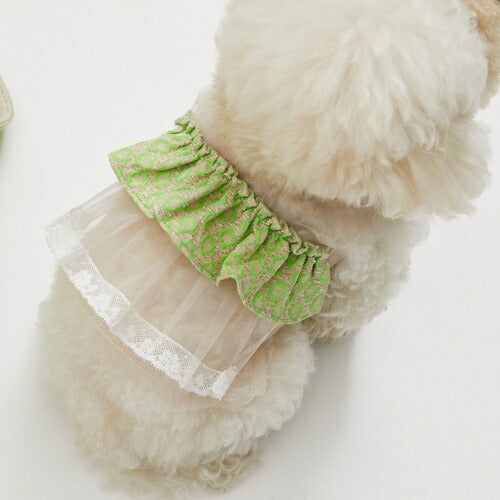 Louis Dog louisdog 網狀蝴蝶結上衣/Glam Lime 【小型犬衣服穿上衣無袖】包郵