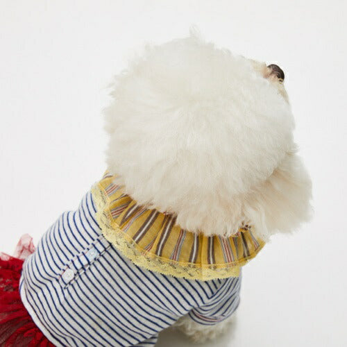 ルイスドッグ louisdog Sunshine Cape【小型犬 犬用 ペット ケープ アクセサリ】送料無料