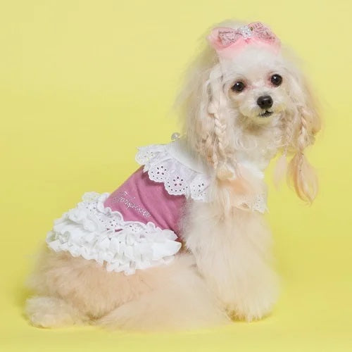 ゴッドピヴァ GODPIVA ★ご予約★テラヘルツレースワンピース※3月下旬より順次発送【小型犬 犬服 ワンピース セレブ】