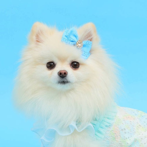 ゴッドピヴァ GODPIVA レースビジューバレッタ【小型犬 犬服 ヘアアクセサリー バレッタ セレブ】