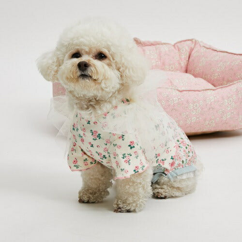 ルイスドッグ louisdog Rose Big Bow TEE【小型犬 犬服 トップス Tシャツ セレブ 】