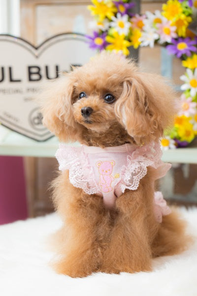 ブルブブ BUL BU-BU Sweets Paradise Camisole【小型犬 犬服 トップス キャミソール セレブ】