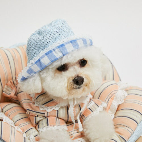 ルイスドッグ louisdog Palm Springs Reversible Bucket Hat/Blue Gingham【小型犬 犬用 帽子 アクセサリー セレブ】