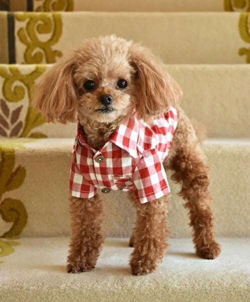 プエルト PUERTO ギンガム半袖シャツ【小型犬 犬服 ウエア トップス 長袖 シャツ セレブ】