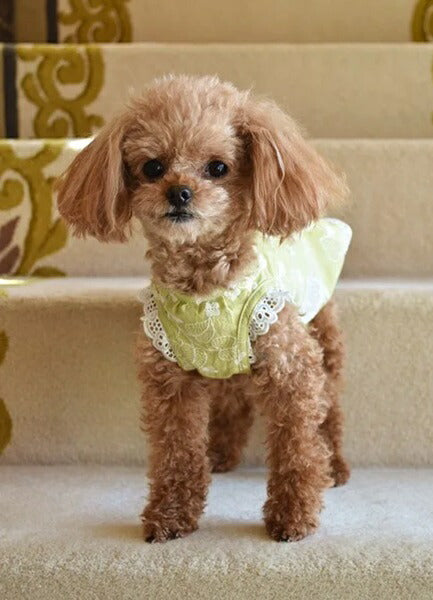 プエルト PUERTO アースグリーン ガーデンエプロン【小型犬 犬服 ウエア トップス エプロン セレブ】
