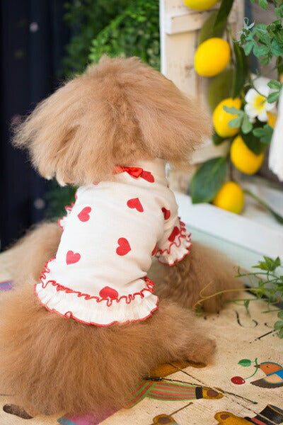 ブルブブ BUL BU-BU COOL Heart Tee【小型犬 犬服 トップス Tシャツ セレブ】