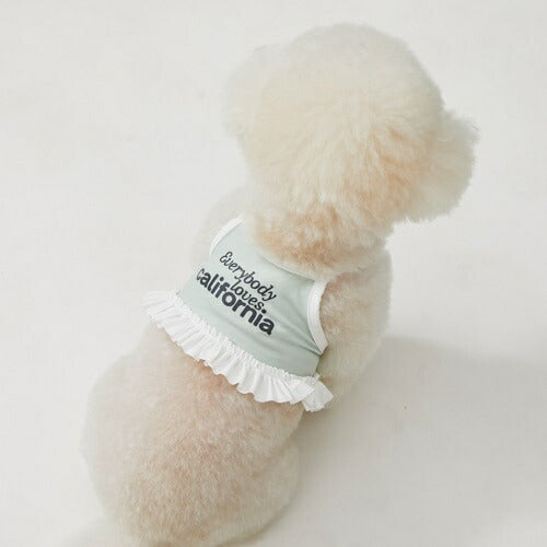 ルイスドッグlouisdogPoolClub/Sherbet