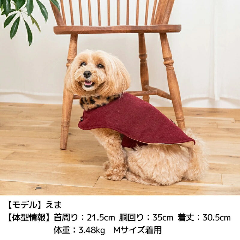 ティノティートTINOTITOヒョウ柄襟マント【小型犬犬服アウターコート】