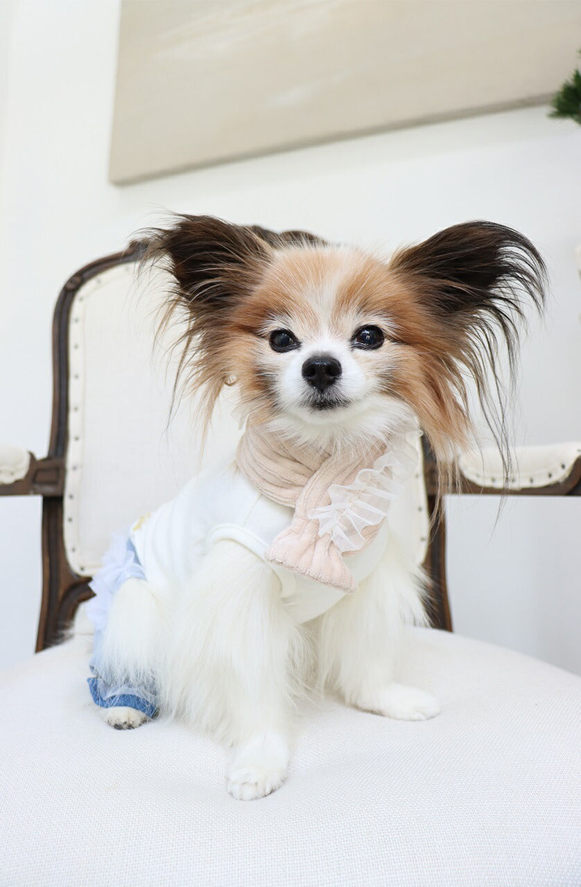 ミムット mimtto Jersey scarf with tulle【小型犬 犬用 アクセサリー マフラー セレブ】
