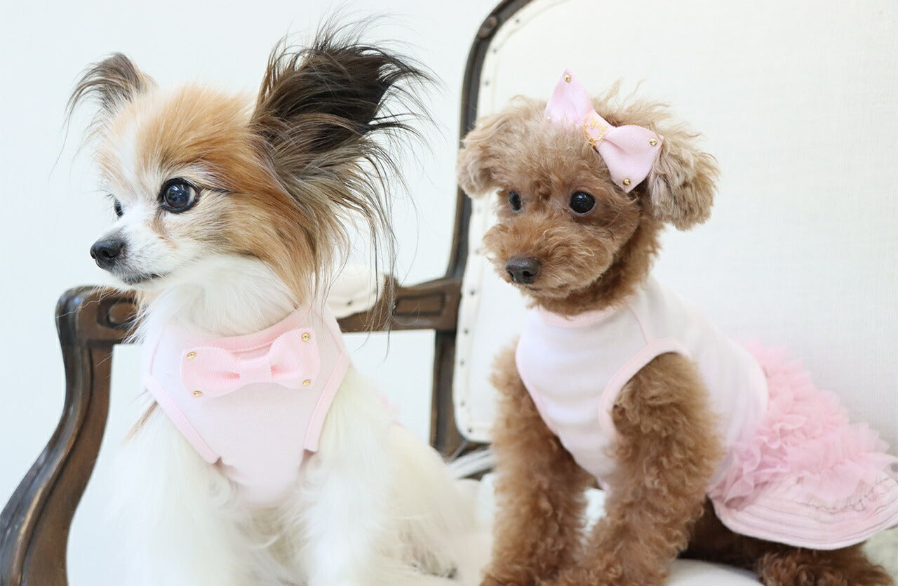 ミムット mimtto Layered tulle and jersey dress【小型犬 犬服 トップス ロンパース ワンピース セレブ】