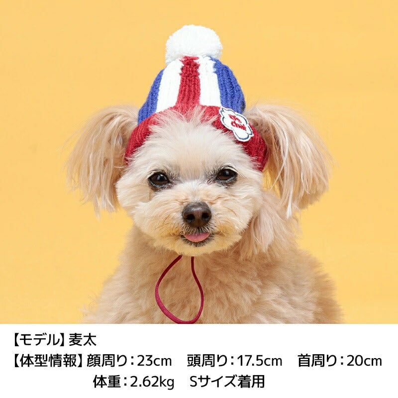 ディーズチャットD'sCHATマルチボーダーニット帽【犬服小型犬ドッグウェア帽子】