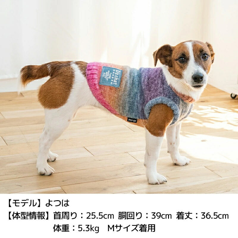 ディーズチャットD'sCHATグラデーションニット【犬服小型犬ドッグウェアトップスニットセーター】