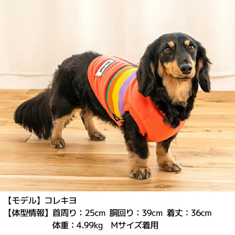 ディーズチャットD'sCHAT背開きボーダーアウター【犬服小型犬ドッグウェアアウターベスト】