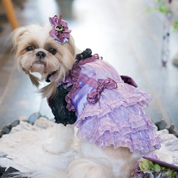 きゃんナナCanNanaサテンドレスアップワンピース1142【小型犬犬服ウエアワンピースドレスセレブ】