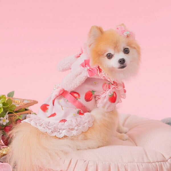 きゃんナナCanNana冬いちごうさ耳ワンピース1145【小型犬犬服ウエアワンピースドレスセレブ】