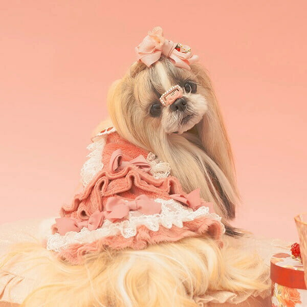 きゃんナナCanNana冬いちごスウィートワンピース1147【小型犬犬服ウエアワンピースドレスセレブ】