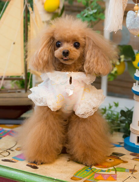 ブルブブ BUL BU-BU Cute Ribbon French Tee【小型犬 犬服 ウエア トップス Tシャツ セレブ】