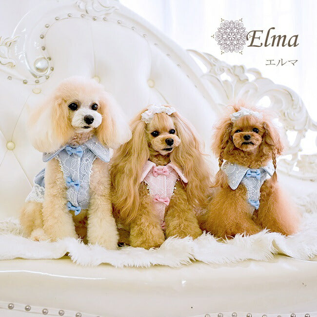 グラマーイズム Glamourism エルマ Elma【小型犬 犬服 ウエア ワンピース ドレス セレブ】