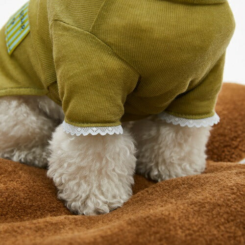 ルイスドッグ louisdog My High Neck/Olive【小型犬 犬服 ハイネック カットソー トップス セレブ】