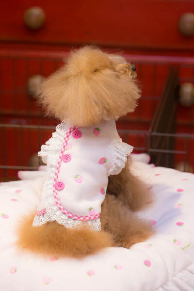 ブルブブ BUL BU-BU いちごボレロ【小型犬 犬服 ウエア トップス ボレロ セレブ】