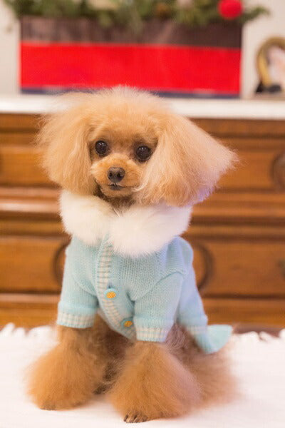 ブルブブ BUL BU-BU WOOL ニットコート【小型犬 犬服 ウエア アウター コート セレブ】