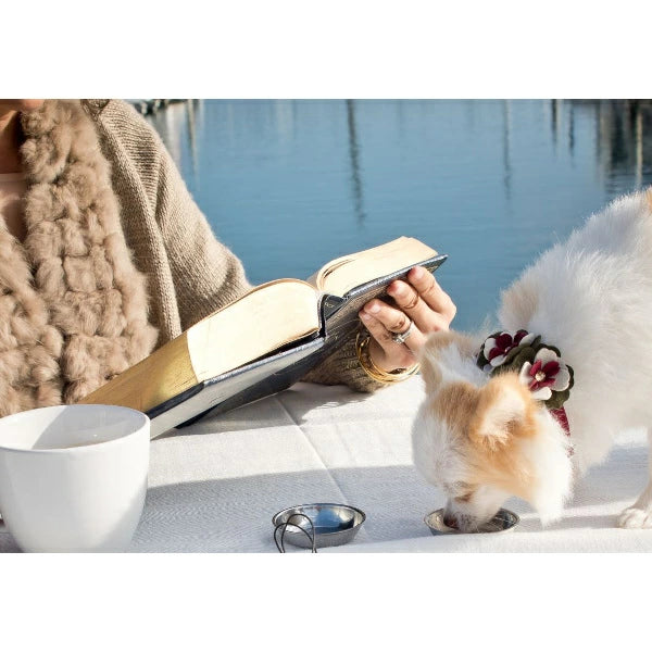 スーザンランシー Susan Lanci DESIGNS Travel Pouch 受注生産【小型犬 犬用 フードボウル 携帯用 セレブ】