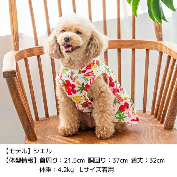 ディーズチャット D's CHAT トロピカルシフォンワンピ【犬服 小型犬 ドッグウェア ワンピース】