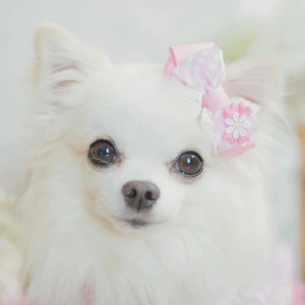 きゃんナナ CanNana ギンガムチェックバレッタリボン LB-305【小型犬 アクセサリー バレット リボン ヘアーアクセサリー】