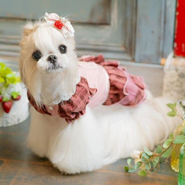 きゃんナナ CanNana ★3月下旬〜入荷次第順次発送★ レトロいちごタータンチェックワンピース 1160【小型犬 犬服 ドッグウェア ワンピース】