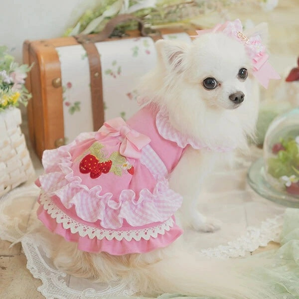 きゃんナナ CanNana レトロいちごギンガムフリルワンピース 1159【小型犬 犬服 ドッグウェア ワンピース】