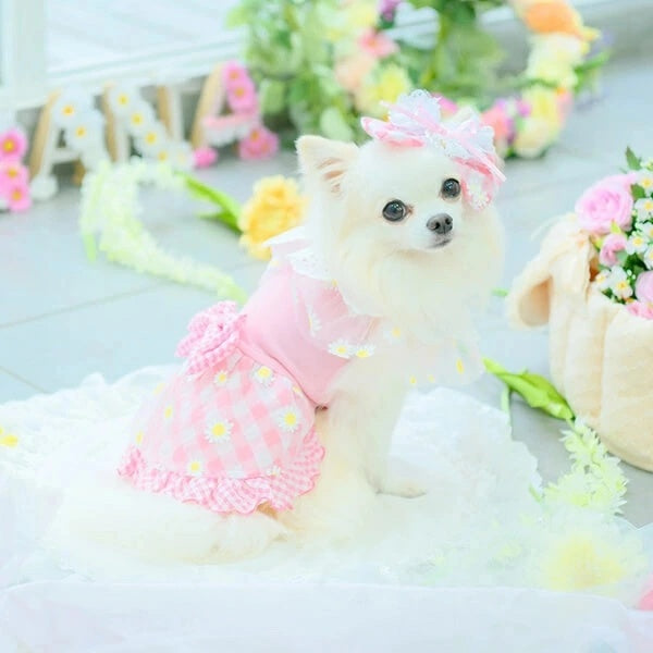 きゃんナナ CanNana ★3月下旬〜入荷次第順次発送★ フラワーギンガムワンピース 1154【小型犬 犬服 ドッグウェア ワンピース】