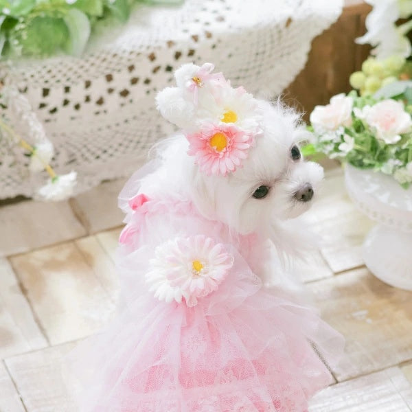 きゃんナナ CanNana チュールフリルキャミワンピース 1153【小型犬 犬服 ドッグウェア ワンピース】