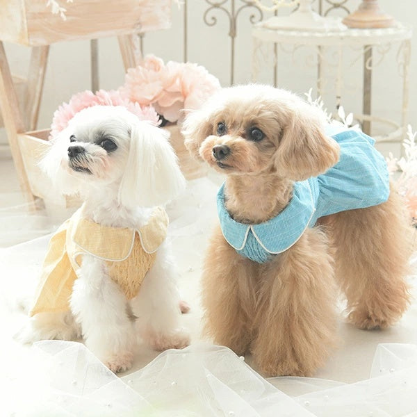 ワンオクターヴ One Octave シャツドレス【小型犬 犬服 ウエア ワンピース ドレス シャツ セレブ】