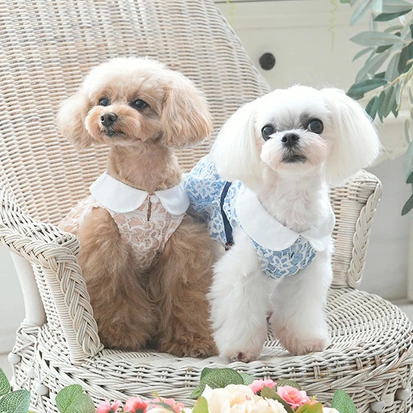 ワンオクターヴ One Octave 丸襟レースワンピ【小型犬 犬服 ウエア ワンピース ドレス セレブ】