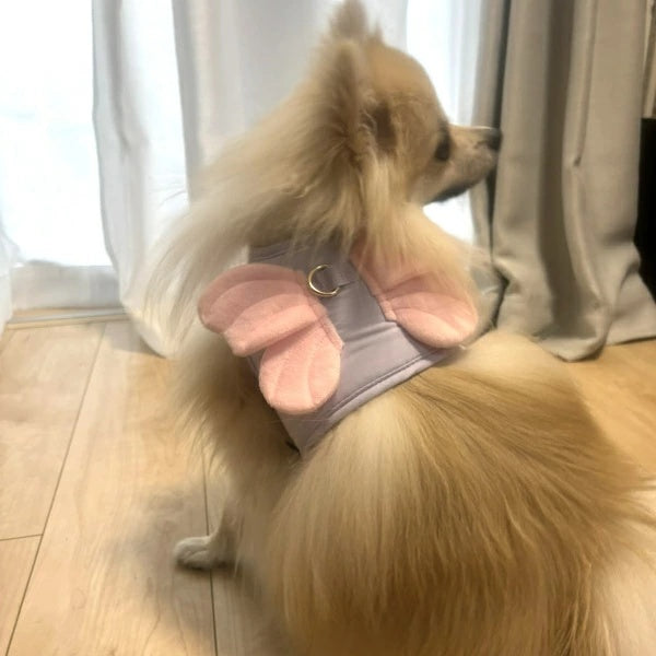 カルル Calulu なりきり蝶ハーネス【小型犬 犬用 なりきりシリーズ ハーネス】