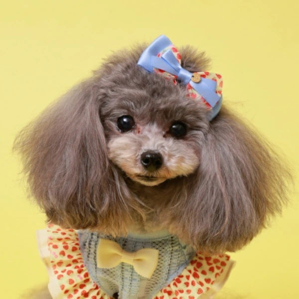 ゴッドピヴァ GODPIVA★ご予約★いちごチュールバレッタ※3月下旬発送【小型犬 犬服 ヘアアクセサリー バレッタ セレブ】