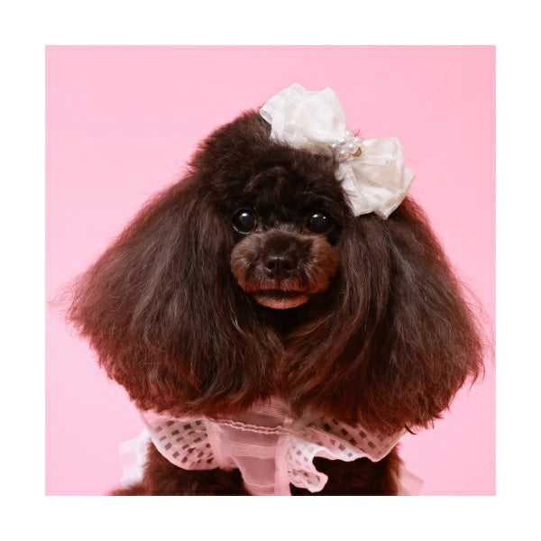 ゴッドピヴァ GODPIVA ギンガムパールバレッタ【小型犬 犬服 ヘアアクセサリー バレッタ セレブ】