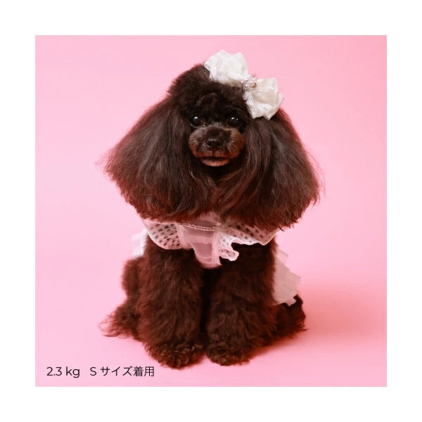 ゴッドピヴァ GODPIVA モノトーンフリルチェックワンピース【小型犬 犬服 ワンピース ドレス セレブ】
