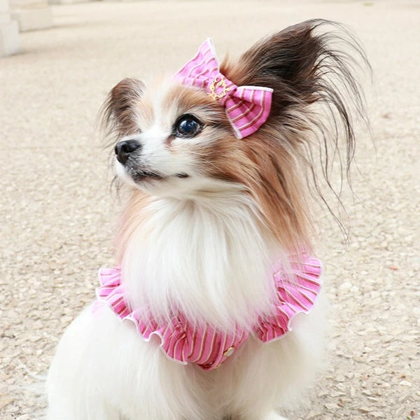 ミムット mimtto☆予約商品☆Striped Blouse【小型犬 犬用 ワンピース ドレス セレブ】