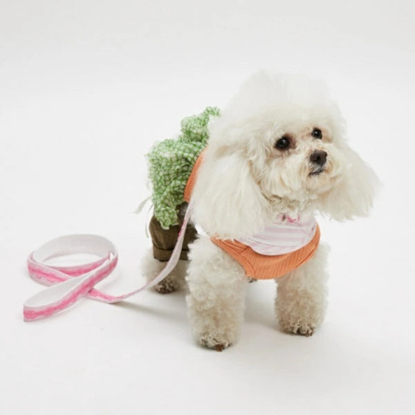 ルイスドッグ louisdog Walk With Me/Baby Doll【小型犬 犬用 ハーネス リード セット セレブ】