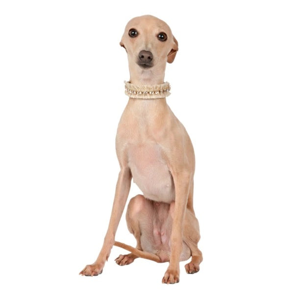 シャーロットドレス Charlotte's Dress Art. f1622N collar Cruz【小型犬用 犬用 カラー 首輪 セレブ】